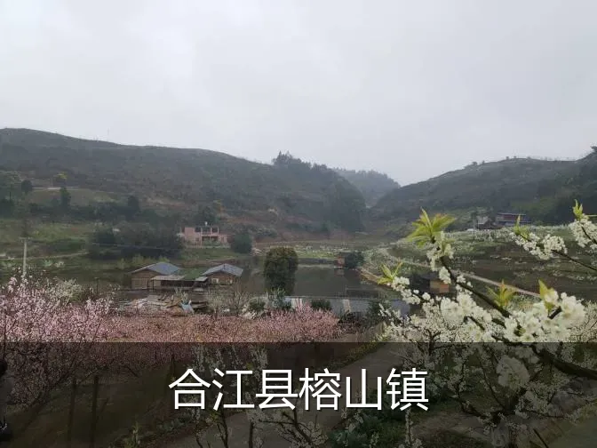 合江县榕山镇